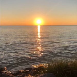 Meet your Posher, Brynn